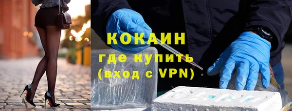 дживик Алексин