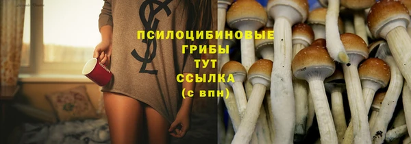 дживик Алексин