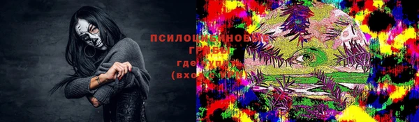 хмурый Алзамай