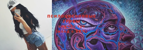 spice Алексеевка