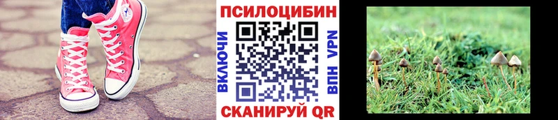 Псилоцибиновые грибы прущие грибы  кракен tor  Еманжелинск 
