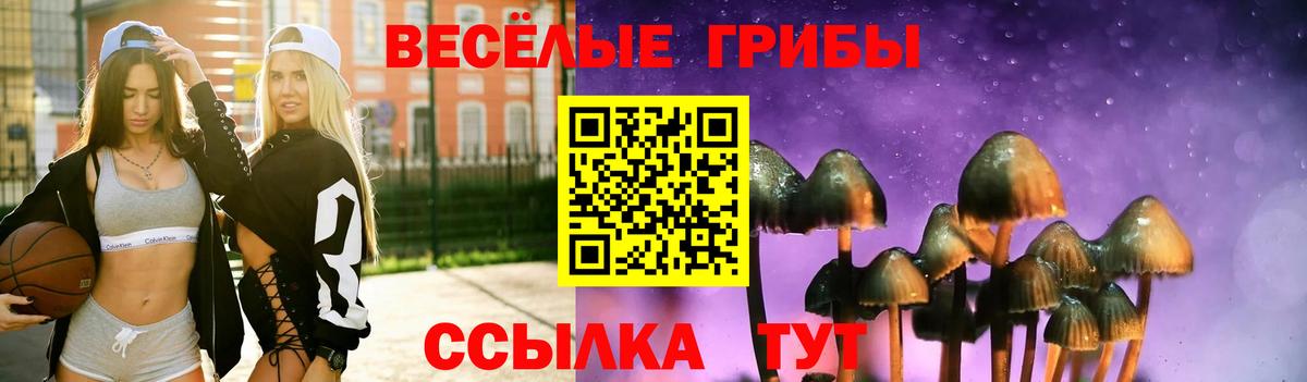 Еманжелинск  Псилоцибиновые грибы ЛСД  Галлюциногенные грибы Psilocybe  Вход с VPN 